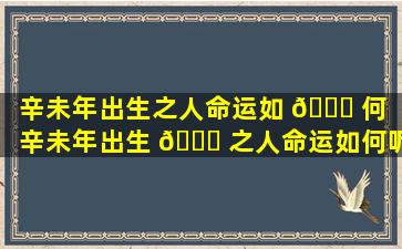 辛未年出生之人命运如 🐛 何（辛未年出生 🐛 之人命运如何呢）